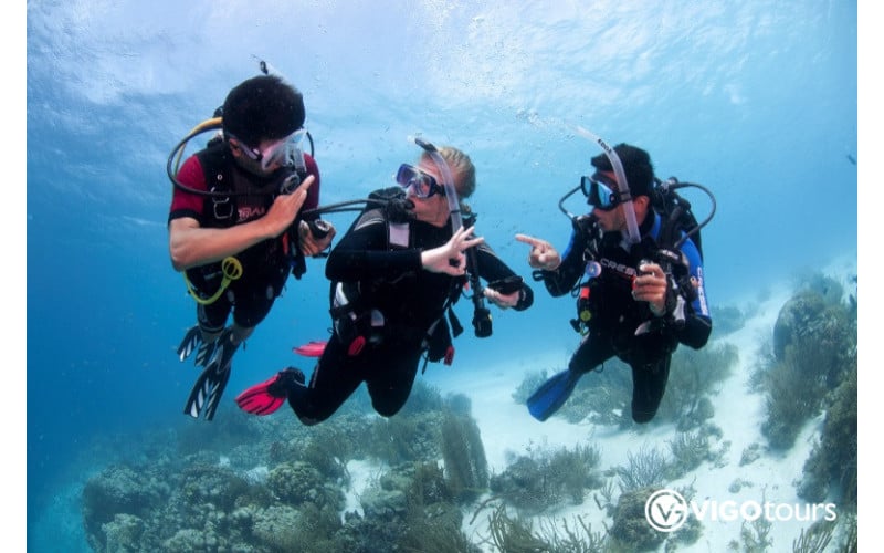 Kas Tauchen Türkei - Perfektes Abenteuer für alle Taucher - 15