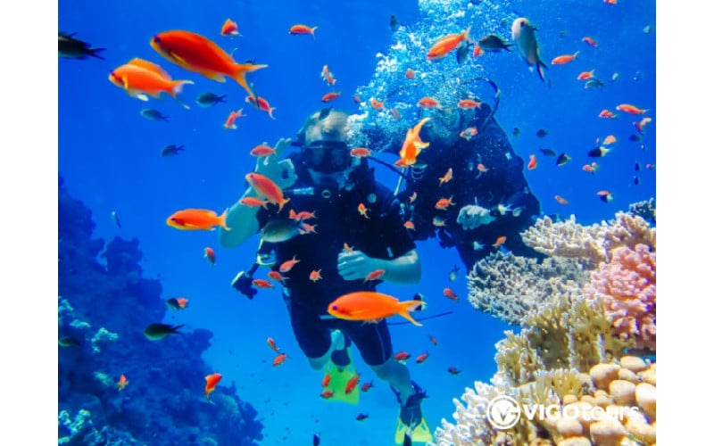 Kas Tauchen Türkei - Perfektes Abenteuer für alle Taucher - 18