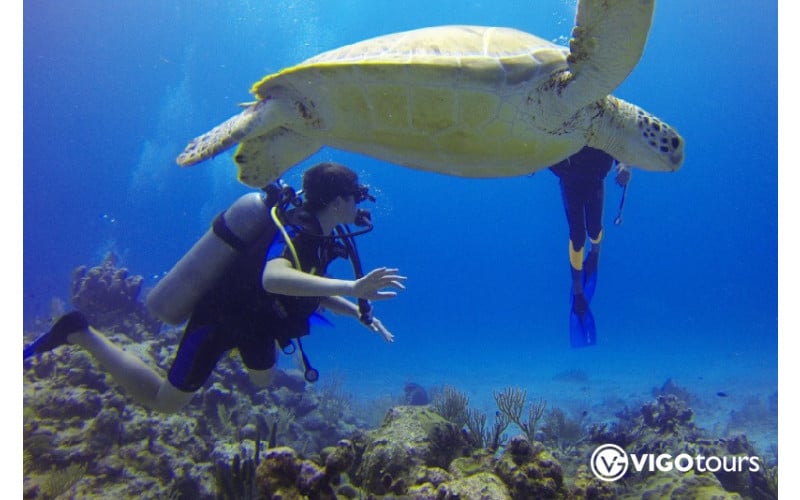 Scuba Diving in Marmaris: Dive into Crystal Clear Waters - 13