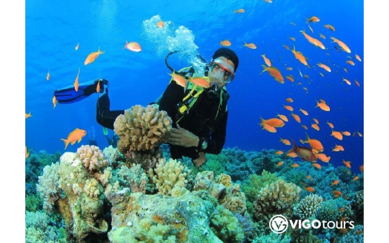 Scuba Diving in Marmaris: Dive into Crystal Clear Waters - 14