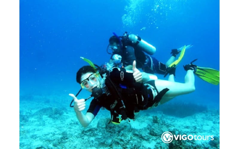Scuba Diving in Marmaris: Dive into Crystal Clear Waters - 16