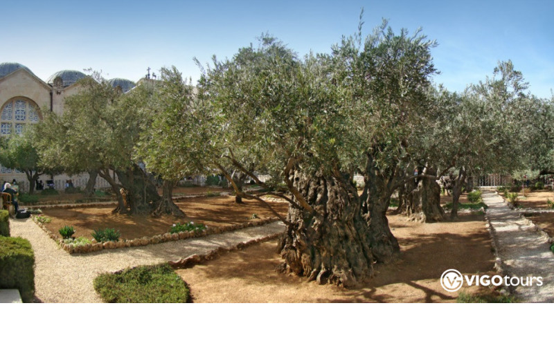 Ein Tagesausflug von Antalya nach Jerusalem Israel - 22