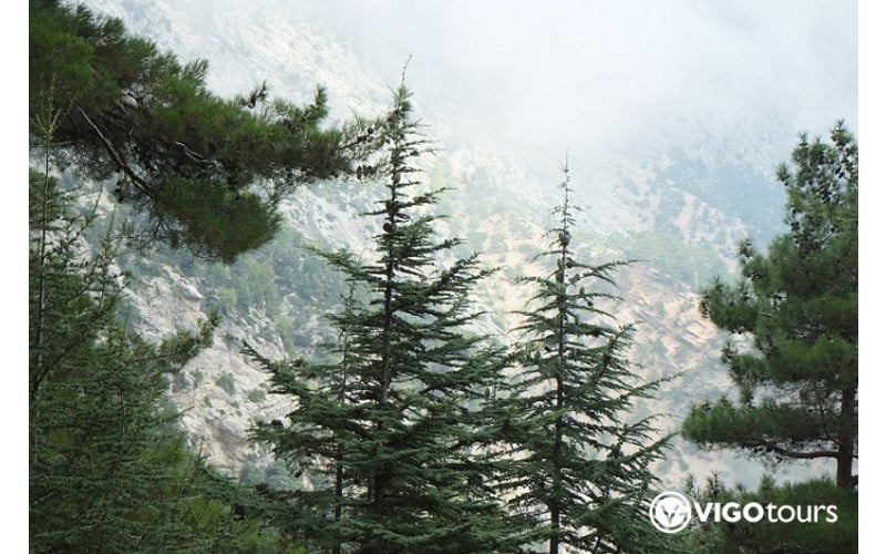 Antalya Wandern: Wandern auf lykischem Weg - 16