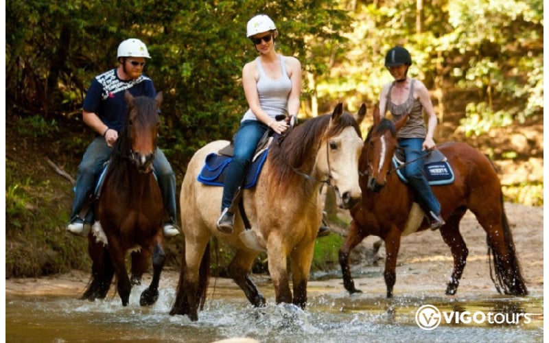 Marmaris Pferdesafari: Reitabenteuer in der Natur erleben - 6