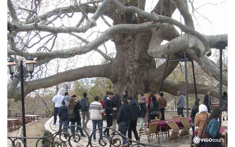 Full-Day Tour to Bursa & Mount Uludağ from Istanbul - 2