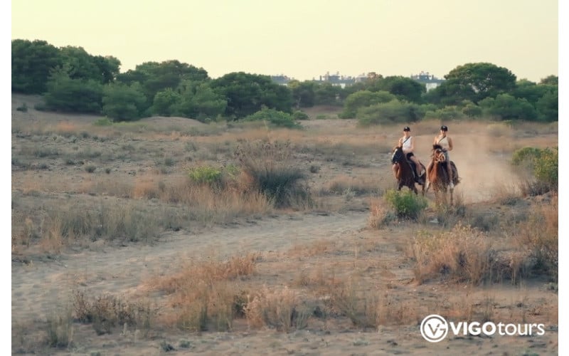 Reiten am Strand in Antalya: Ein unvergessliches Erlebnis - 5