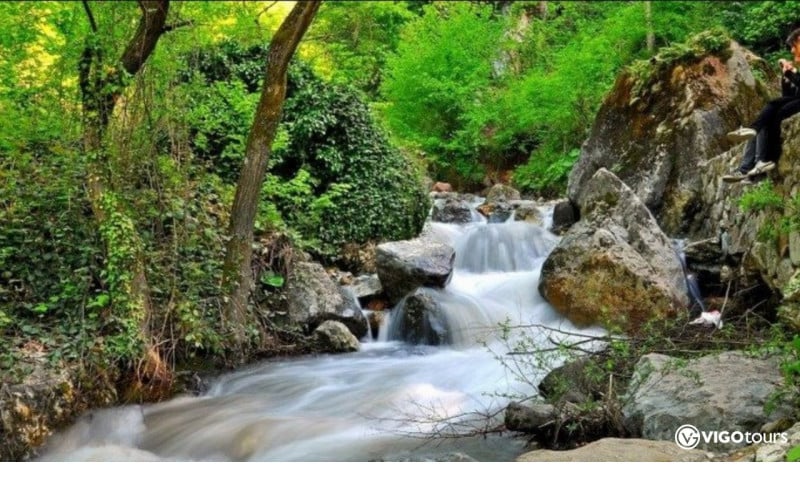 Istanbul nach Sapanca und Masukiye: Ganztägige Naturreise - 3