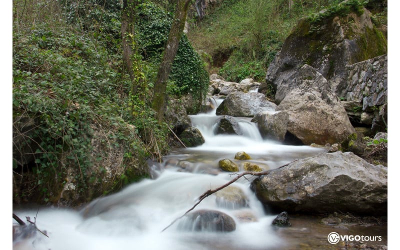 Istanbul nach Sapanca und Masukiye: Ganztägige Naturreise - 8
