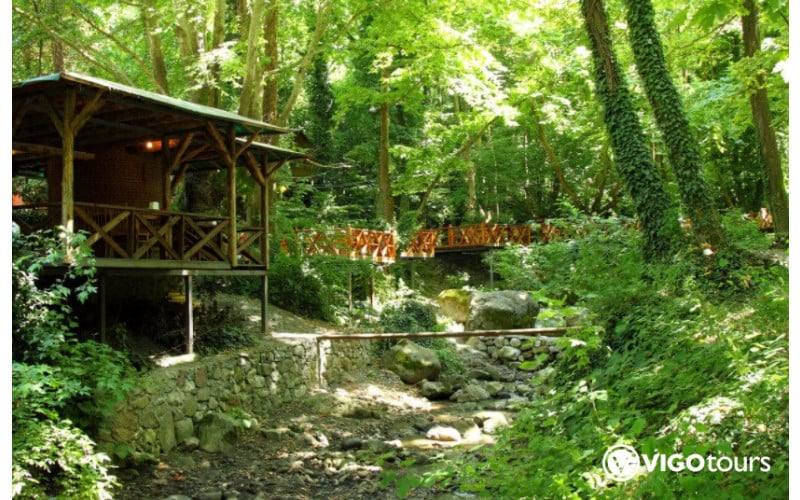 Istanbul nach Sapanca und Masukiye: Ganztägige Naturreise - 18