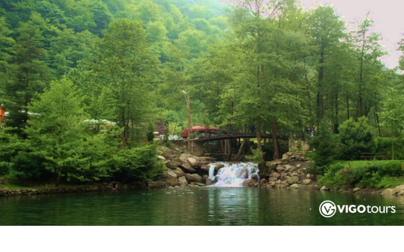 Istanbul nach Sapanca und Masukiye: Ganztägige Naturreise - 21