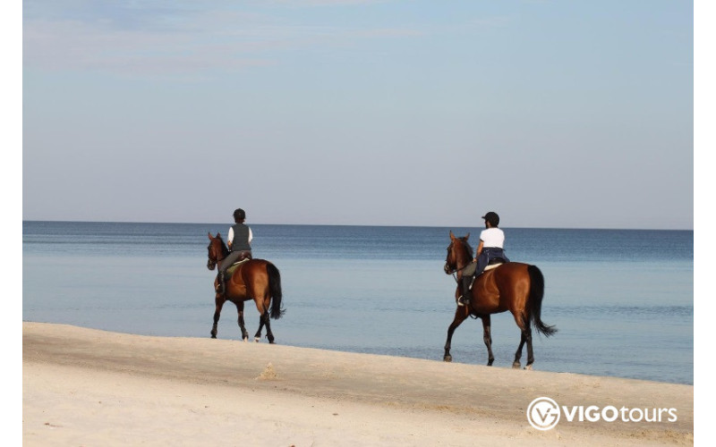 Верховая езда вдоль побережья в Сиде — природа и море - 1