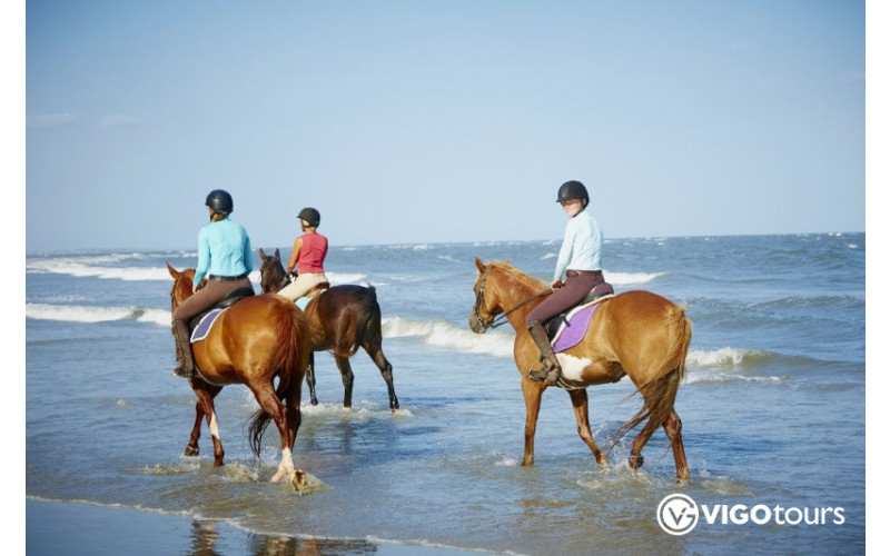 Верховая езда вдоль побережья в Сиде — природа и море - 3