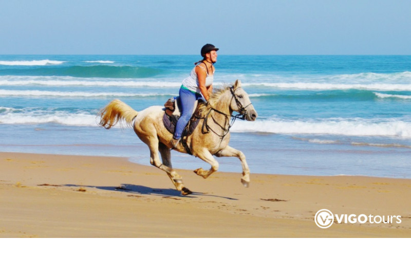 Верховая езда вдоль побережья в Сиде — природа и море - 10