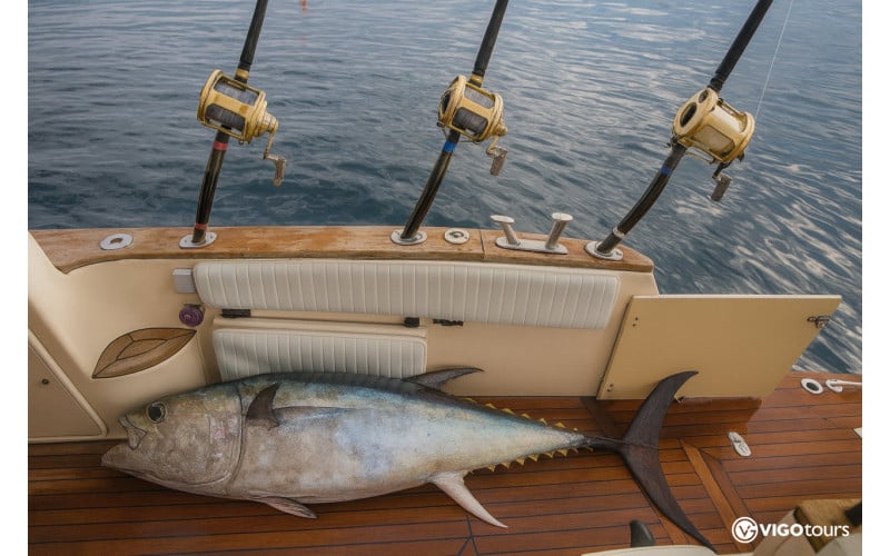 Частный тур в Сиде – морская рыбалка на крупных рыб - 8