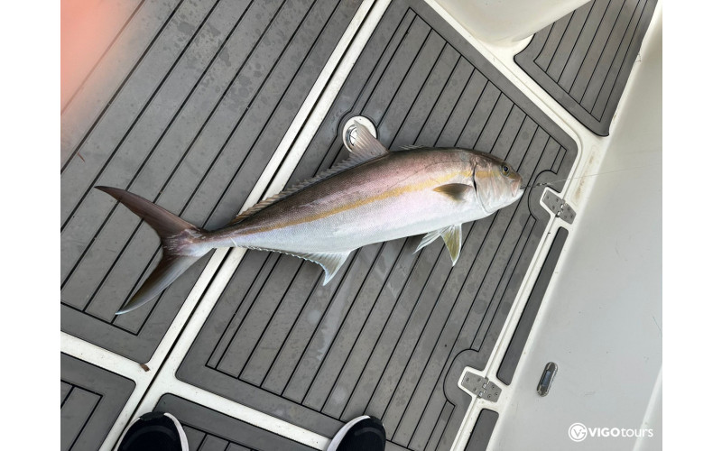 Private deep sea fishing tour by motor yacht in Side - 2