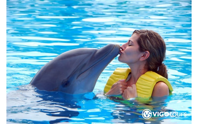 Experience Dolphin Swimming and Shows in Side Turkey - 5