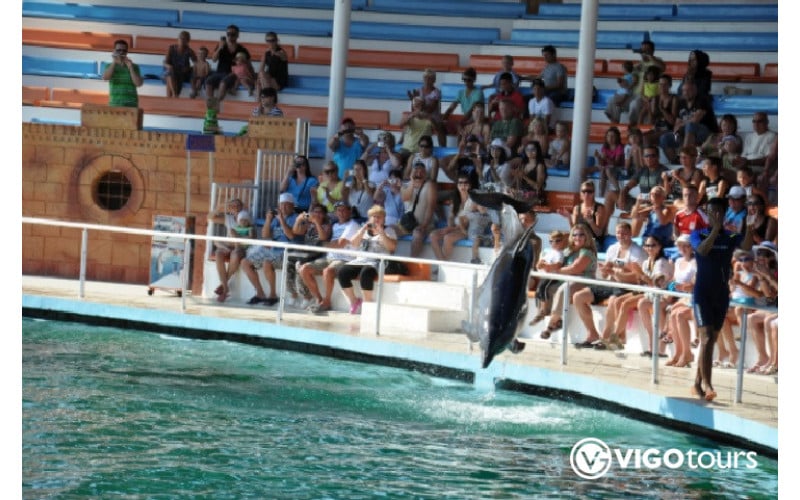 Experience Dolphin Swimming and Shows in Side Turkey - 8