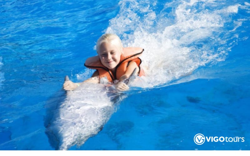 Experience Dolphin Swimming and Shows in Side Turkey - 9