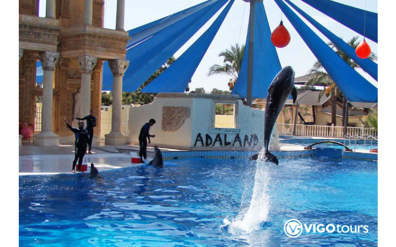 Dolphins and Sea lion show in Kusadasi - 1