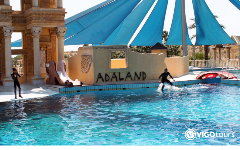 Pokaz delfinów w Kusadasi: Niezapomniane doświadczenie - 2