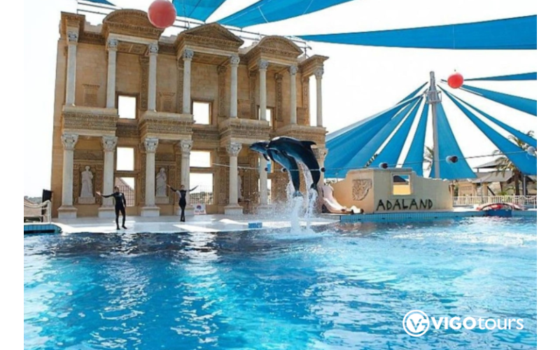 Pokaz delfinów w Kusadasi: Niezapomniane doświadczenie - 4