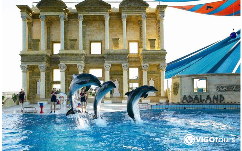 Pokaz delfinów w Kusadasi: Niezapomniane doświadczenie - 5