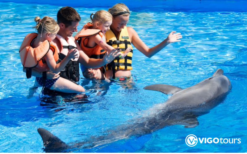 Pokaz delfinów w Kusadasi: Niezapomniane doświadczenie - 8