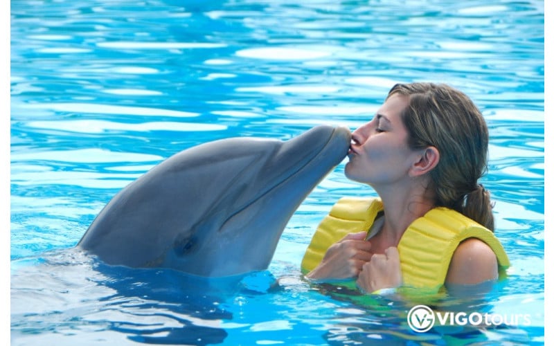 Pokaz delfinów w Kusadasi: Niezapomniane doświadczenie - 9