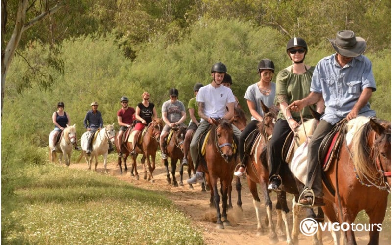 Didim At Safari Turu - Yeni Başlayanlar ve Deneyimliler İçin - 2