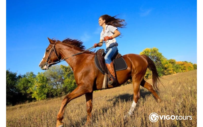 Didim At Safari Turu - Yeni Başlayanlar ve Deneyimliler İçin - 4