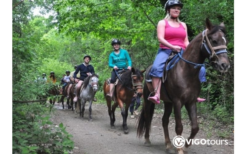 Didim At Safari Turu - Yeni Başlayanlar ve Deneyimliler İçin - 9