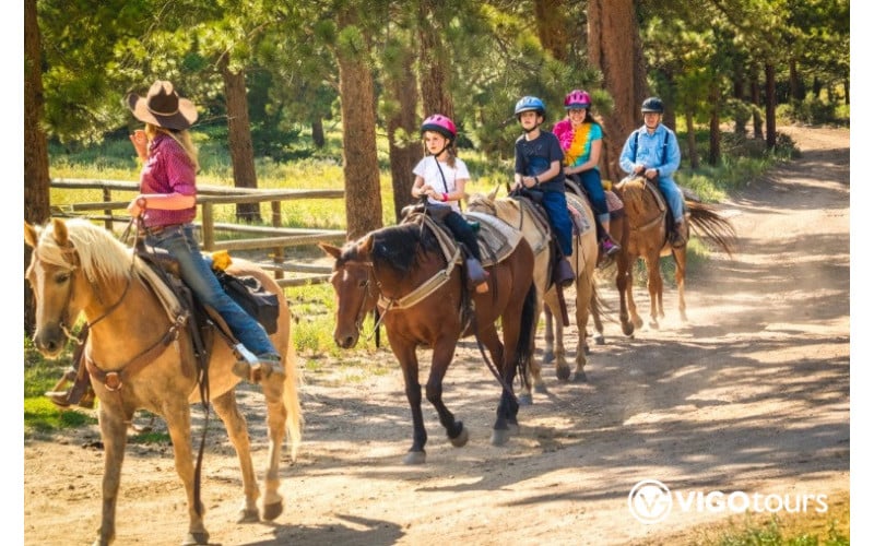 Didim At Safari Turu - Yeni Başlayanlar ve Deneyimliler İçin - 10