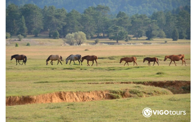 Horse Safari in the highlands of the Taurus Mountains - 4