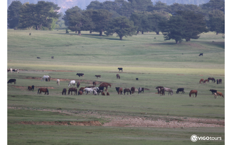 Horse Safari in the highlands of the Taurus Mountains - 9