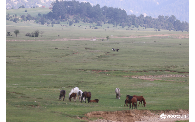 Horse Safari in the highlands of the Taurus Mountains - 10