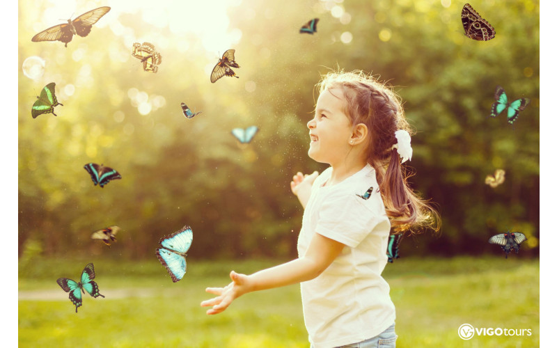 Odkryj magię Świata Motyli w Antalyi już teraz - 1