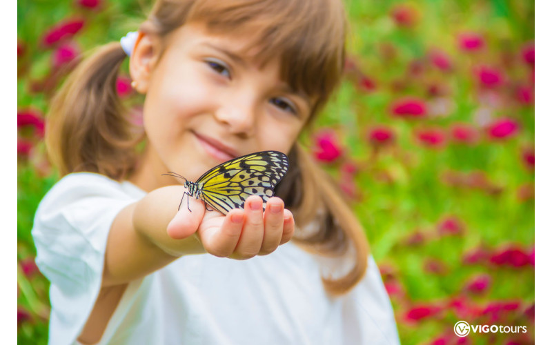 Odkryj magię Świata Motyli w Antalyi już teraz - 2