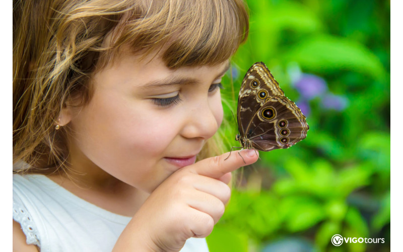 Odkryj magię Świata Motyli w Antalyi już teraz - 4