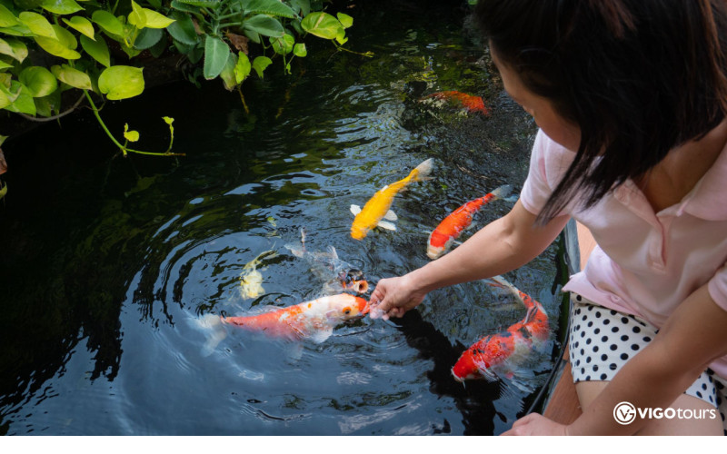 Odkryj magię Świata Motyli w Antalyi już teraz - 6