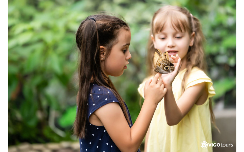 Odkryj magię Świata Motyli w Antalyi już teraz - 7