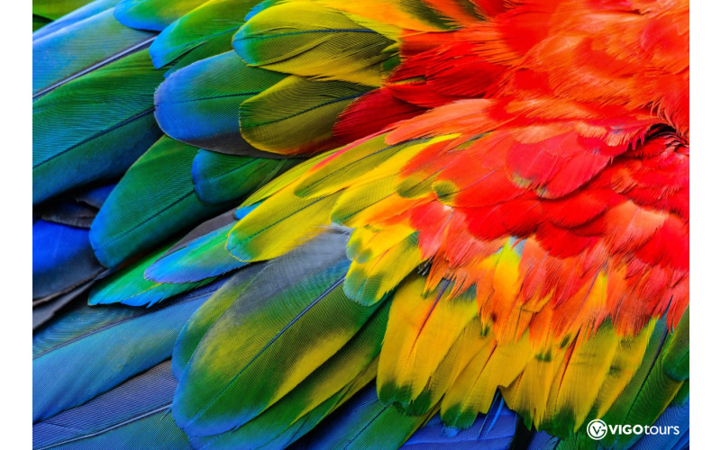 Odkryj magię Świata Motyli w Antalyi już teraz - 9