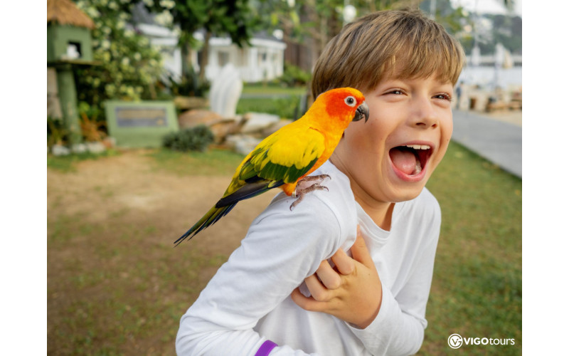 Odkryj magię Świata Motyli w Antalyi już teraz - 10