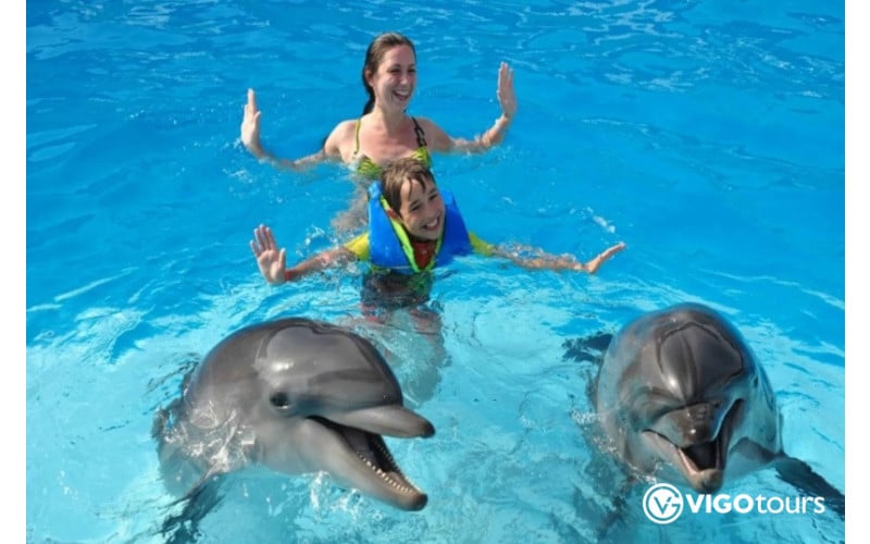 Pokaz delfinów i pływanie z delfinami w Bodrum - 4