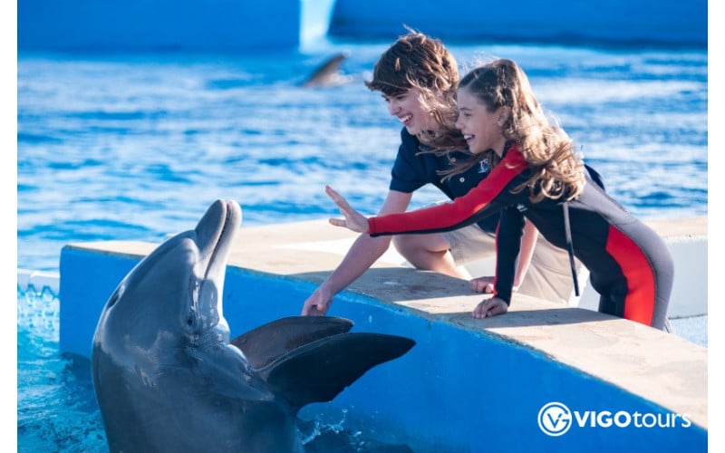 Pokaz delfinów i pływanie z delfinami w Bodrum - 5