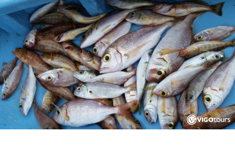 Fishing Boat Trip in Side Turkey: Memorable Sea Adventure - 4