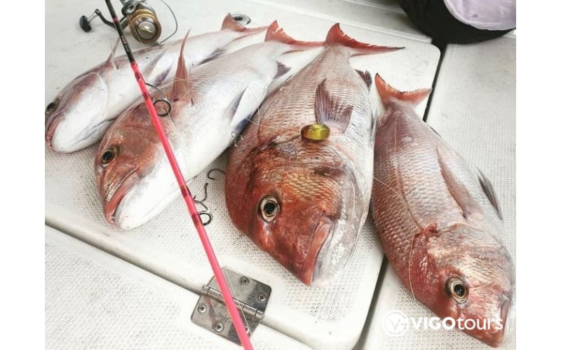Fishing Boat Trip in Side Turkey: Memorable Sea Adventure - 5