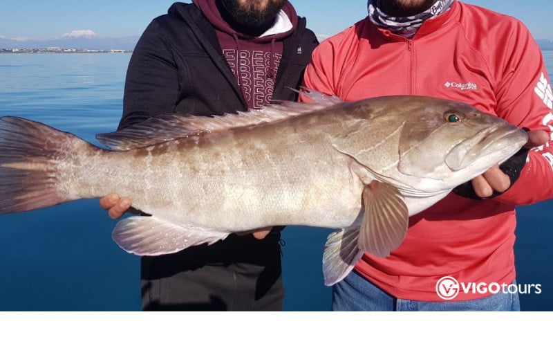 Fishing Boat Trip in Side Turkey: Memorable Sea Adventure - 6