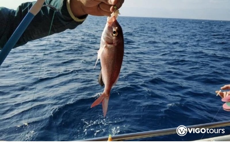 Fishing Boat Trip in Side Turkey: Memorable Sea Adventure - 12