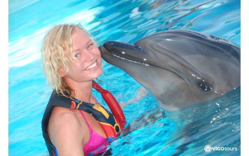 Pokaz delfinów i pływanie z delfinami w Alanyi - 1