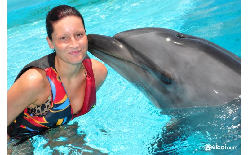 Delfinshow und Schwimmen mit Delfinen in Antalya - 1